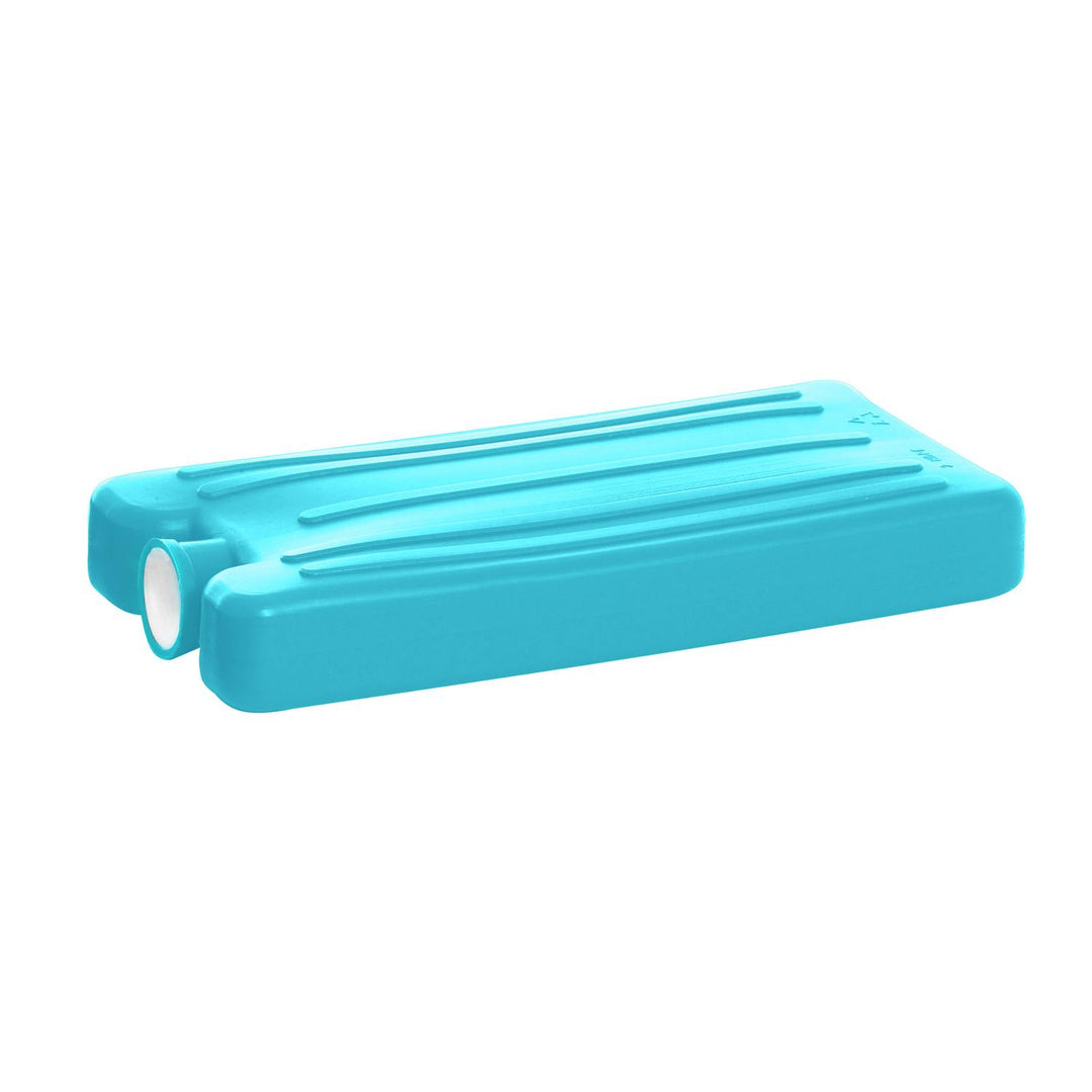 Une contribution au réfrigérateur touristique Plasters 250g bleu