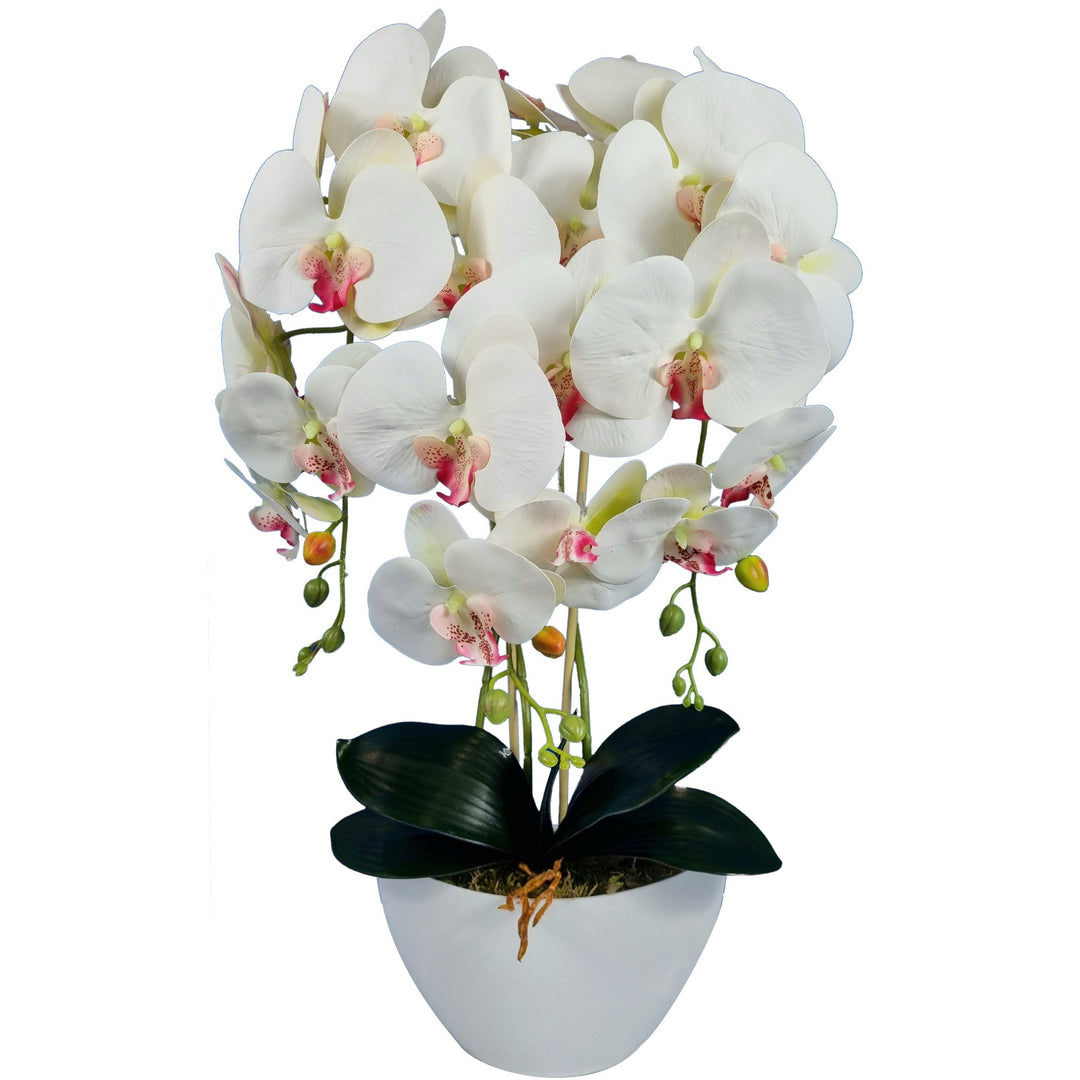 Orchidée artificielle Damich, blanche, cœur rose, en caoutchouc, 3pgb2