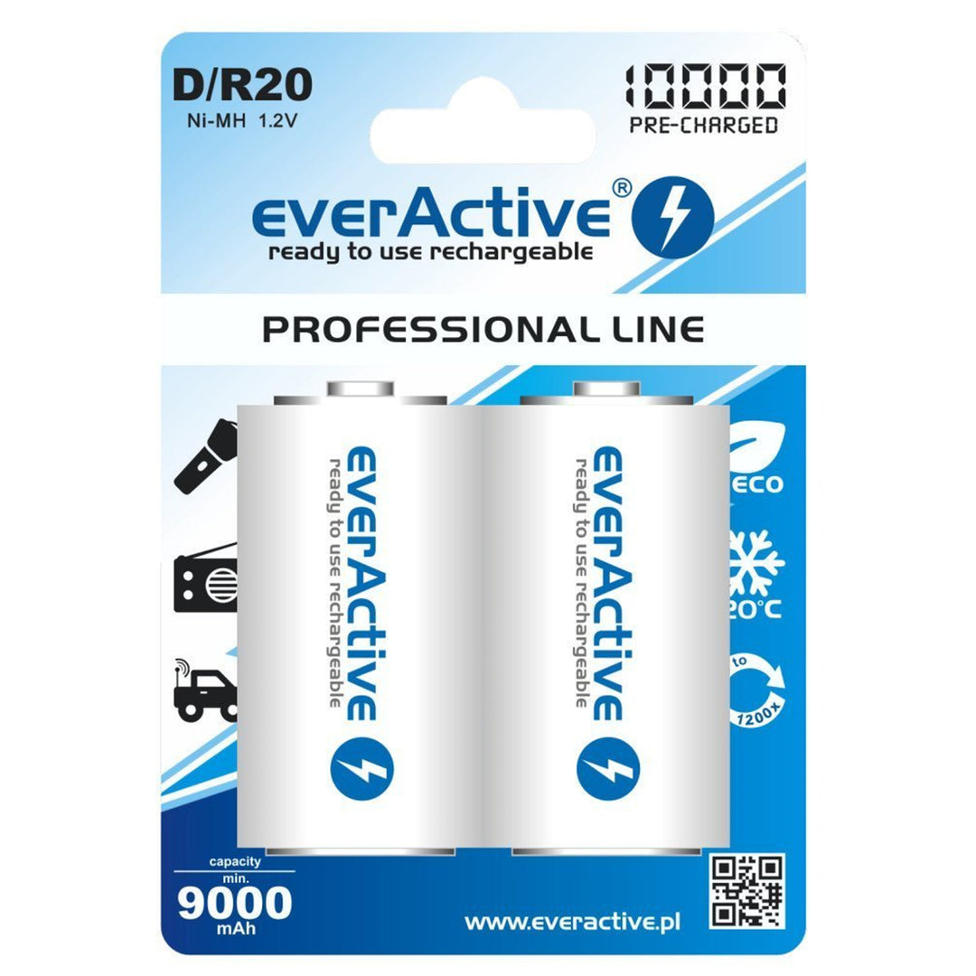 R20/D 10000 mAh