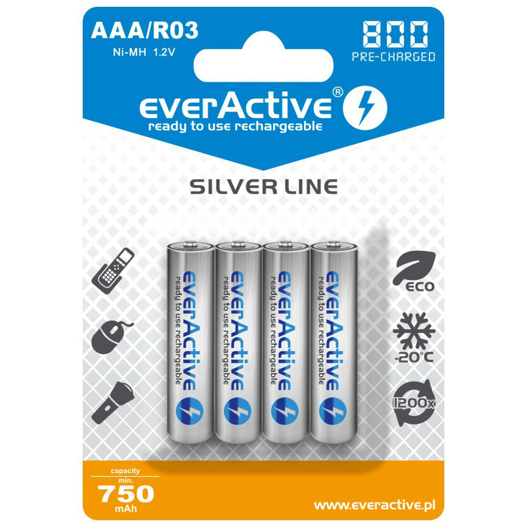 R03 / AAA 800mAh