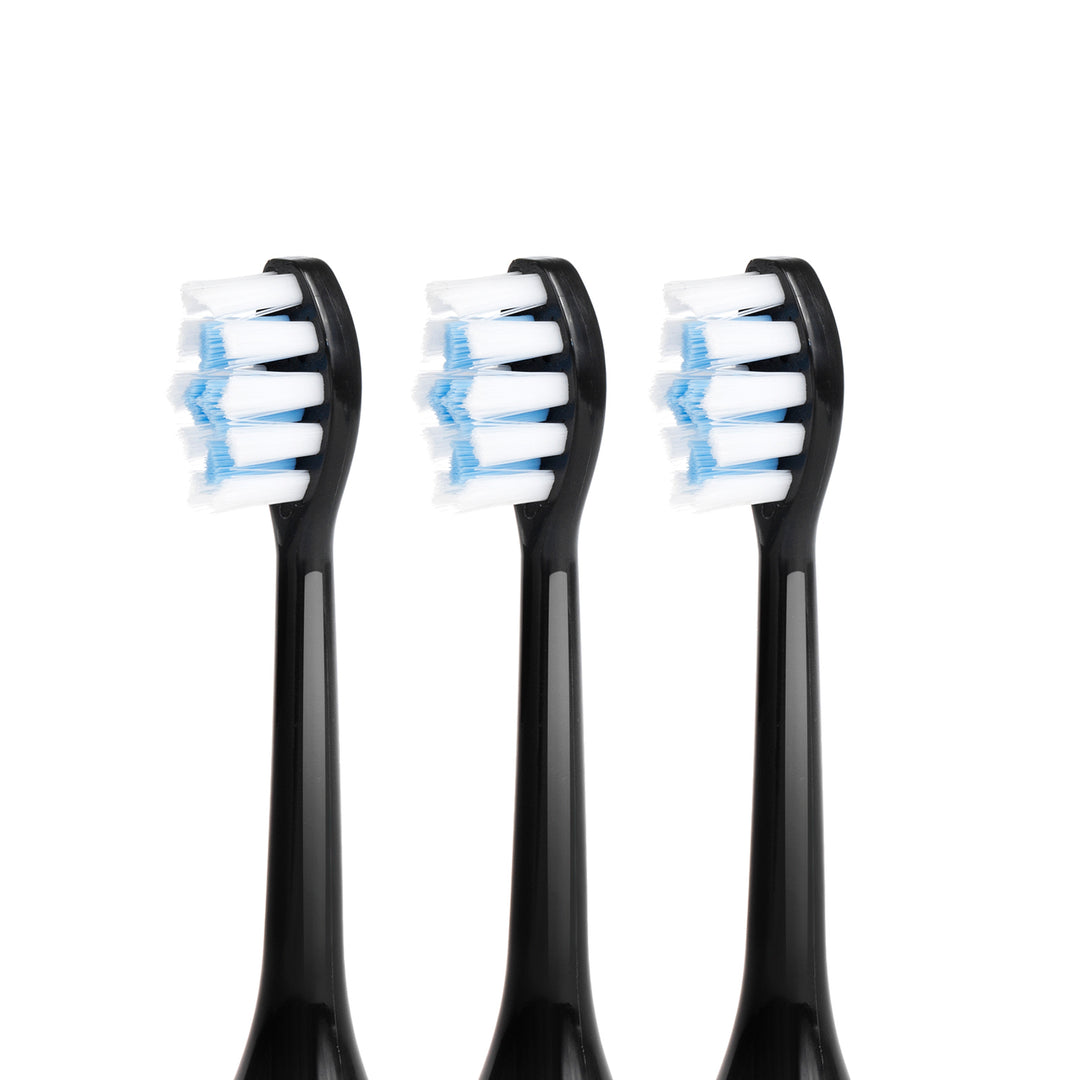 Brosse à dents sonique noire avec étui de transport, 5 modes, minuterie, 3 niveaux de puissance, 3 bouts Promedix PR-750 B