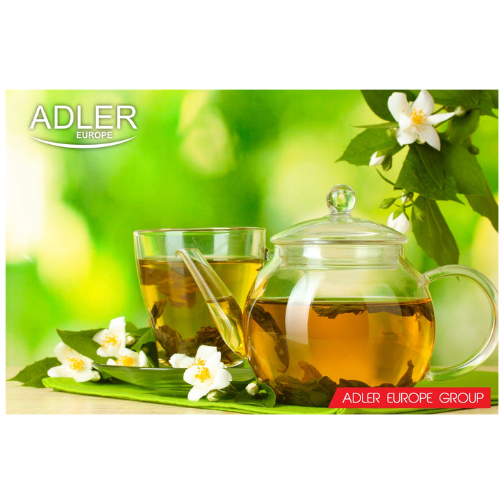 CIRCUIT FILAIRE EN VERRE 1,7 L ADLER AD1225 QUALITE