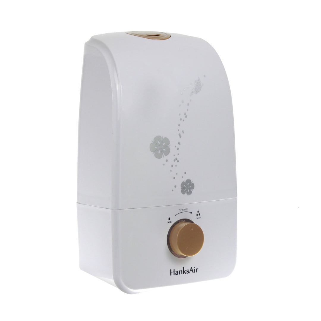Humidificateur Hanks Air, ultrasonique, filtre céramique, 3.2L, ARTNAW-05