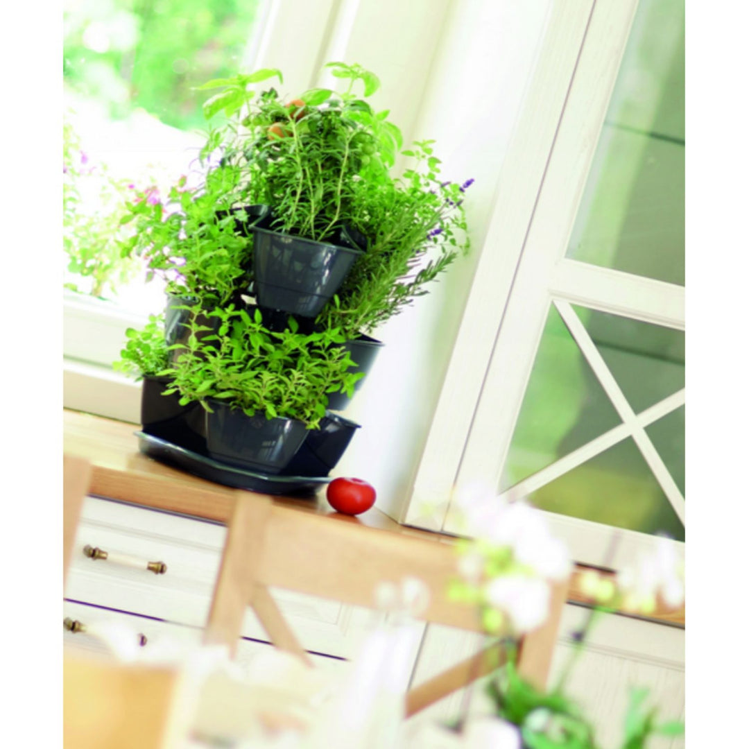 Pot pour herbes fleurs 3 cascades Coubi herbal anthracite