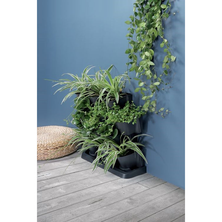 Staande verticale tuin Prosperplast Cascade Garden antraciet