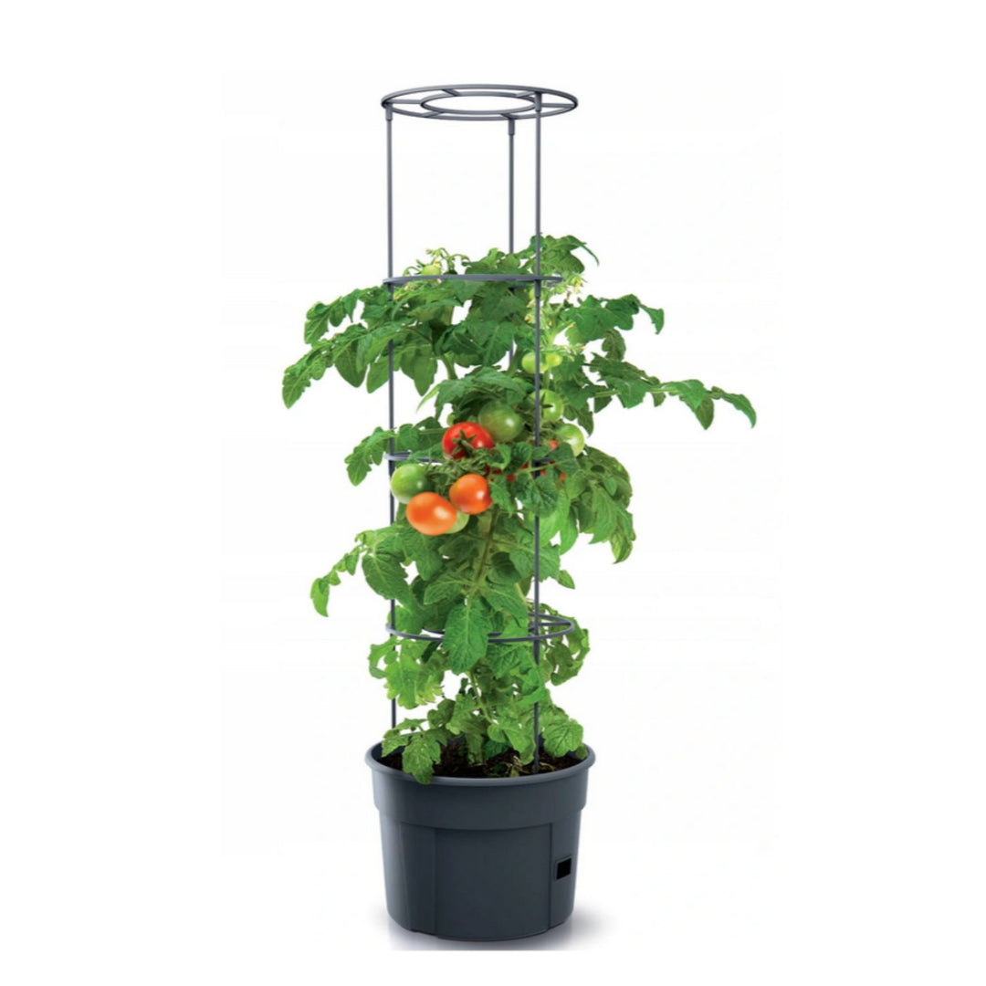 Pot voor tomatenplanten 12L Tomatenkweker IPOM300-S433