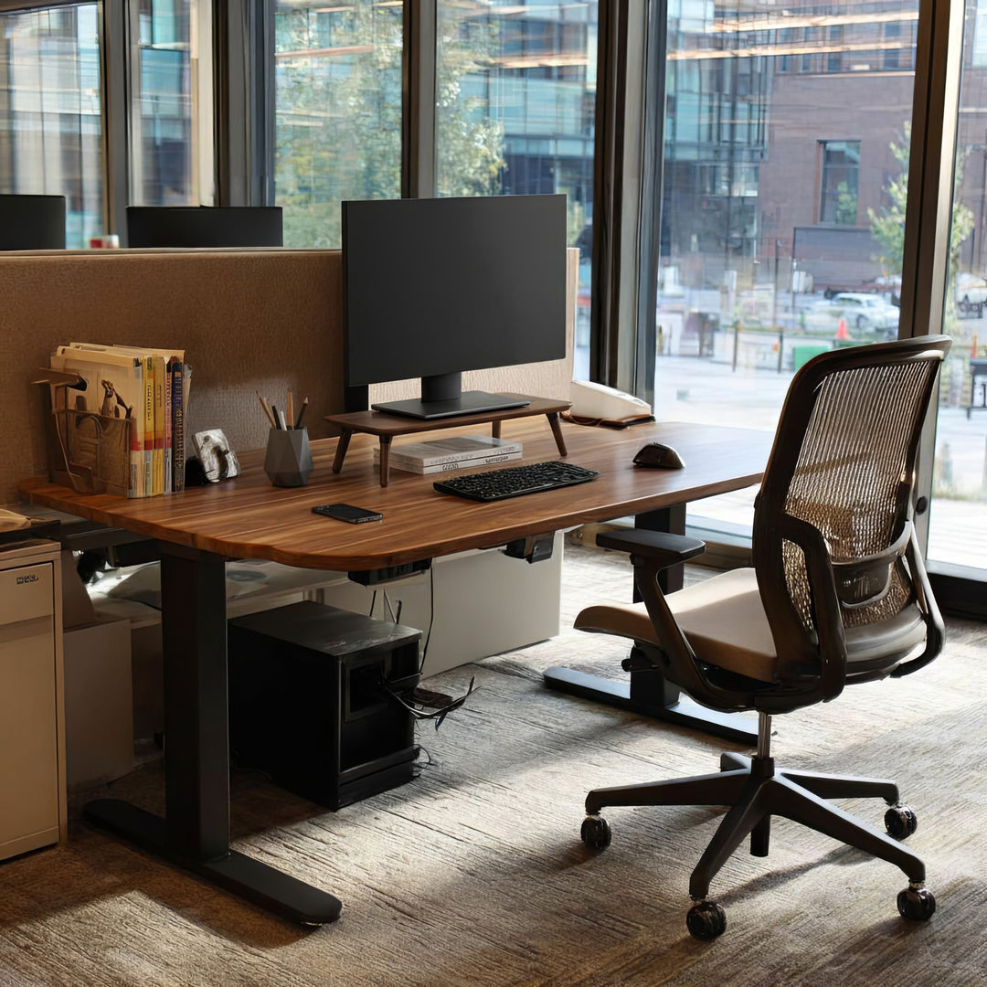 Maclean MC-930 Support en bois pour moniteur ordinateur portable 500x240x120 mm) couleur noyer noir max. 20 kg,