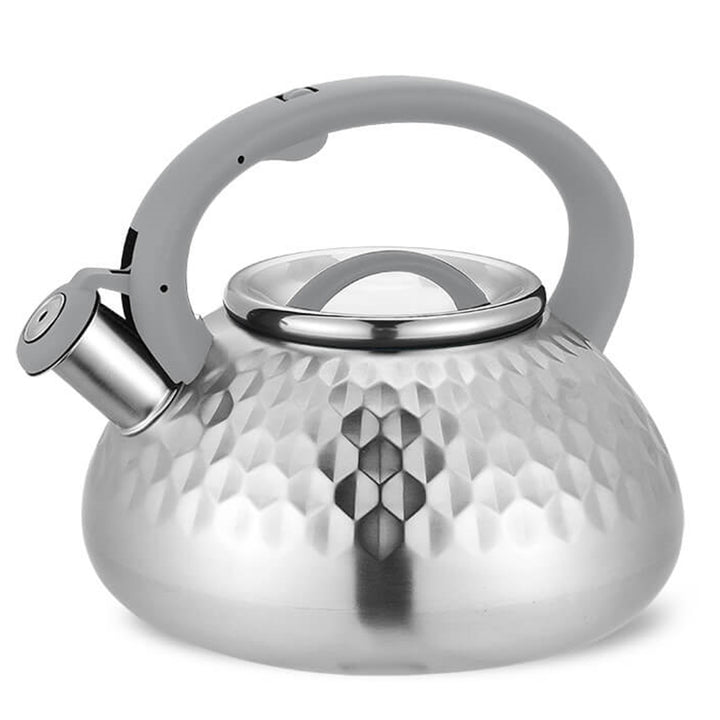 Bouilloire 3l acier inoxydable Maestro MR-1309-GREY poignée grise