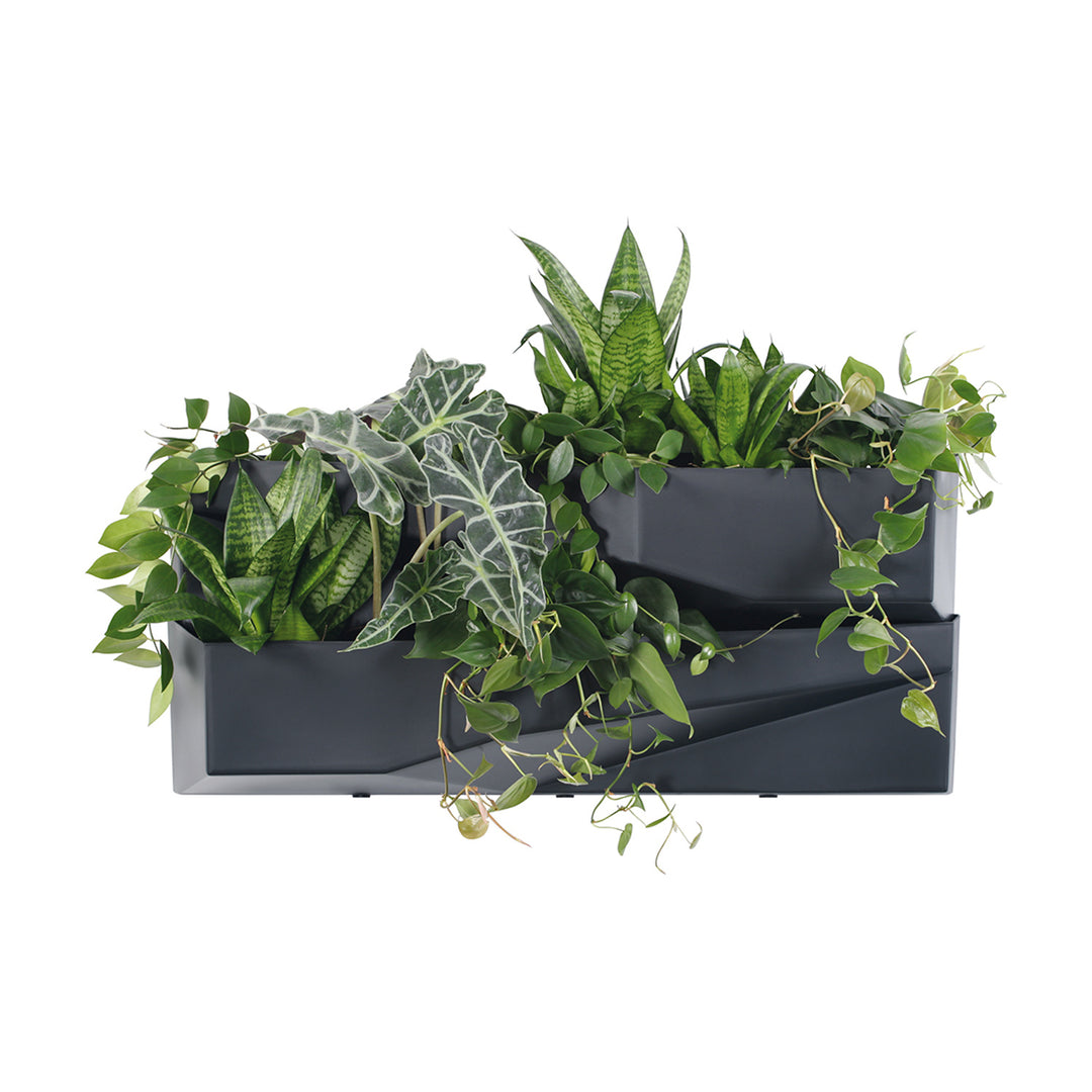 Verticale tuin Prosperplast Cascade Tuinmuur IO3W800-S433
