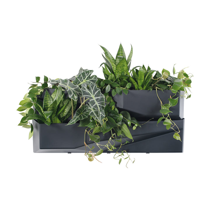 Verticale tuin Prosperplast Cascade Tuinmuur IO3W800-S433