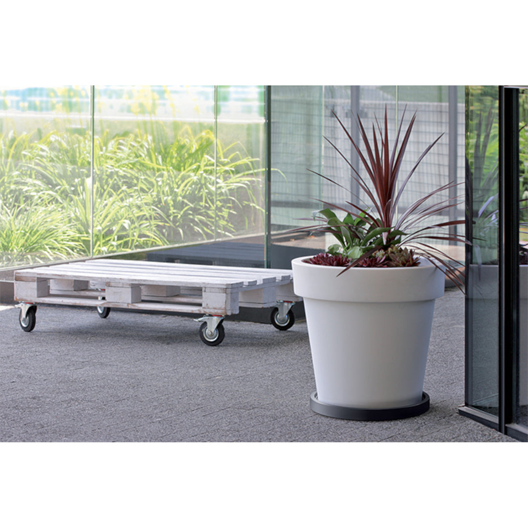 Plantenpothouder op wielen Prosperplast IPRR370-S433 Mobiele voet - antraciet kleur 36,6cm