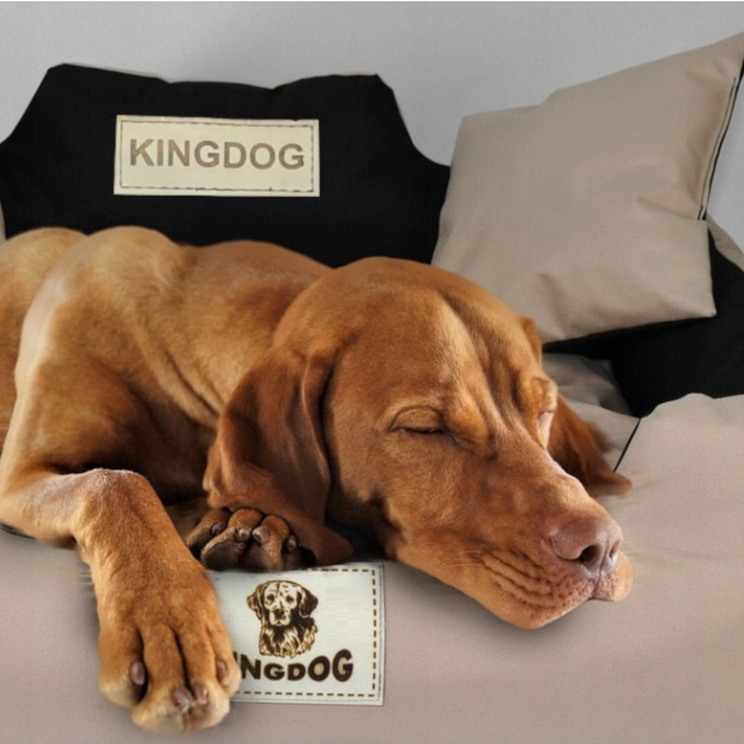 Groot honden- en kattenbed AIO Kingdog 75 x 65 Donkergrijs - maat M