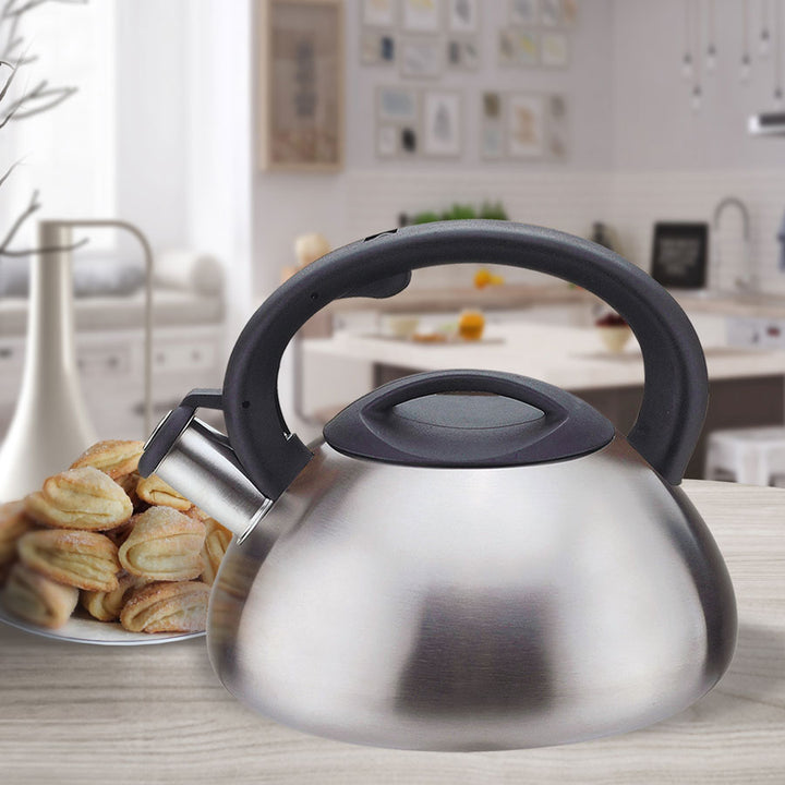 Waterkoker met fluitje van gesatineerd roestvrij staal