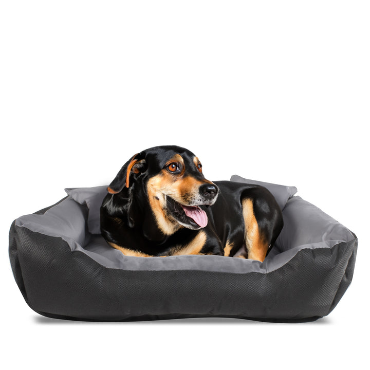 Lit pour chien et chat avec coussin Ecco Nylon imperméable Lavable (Dimensions intérieures : 40x30 / Dimensions extérieures : 55x45cm, Gris/noir)