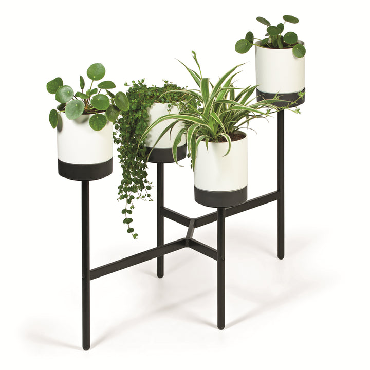 Bloemendisplay met 4 potten Prosperplast Bloomie Stand Bloempot 125x55x81,5cm Beton metalen frame