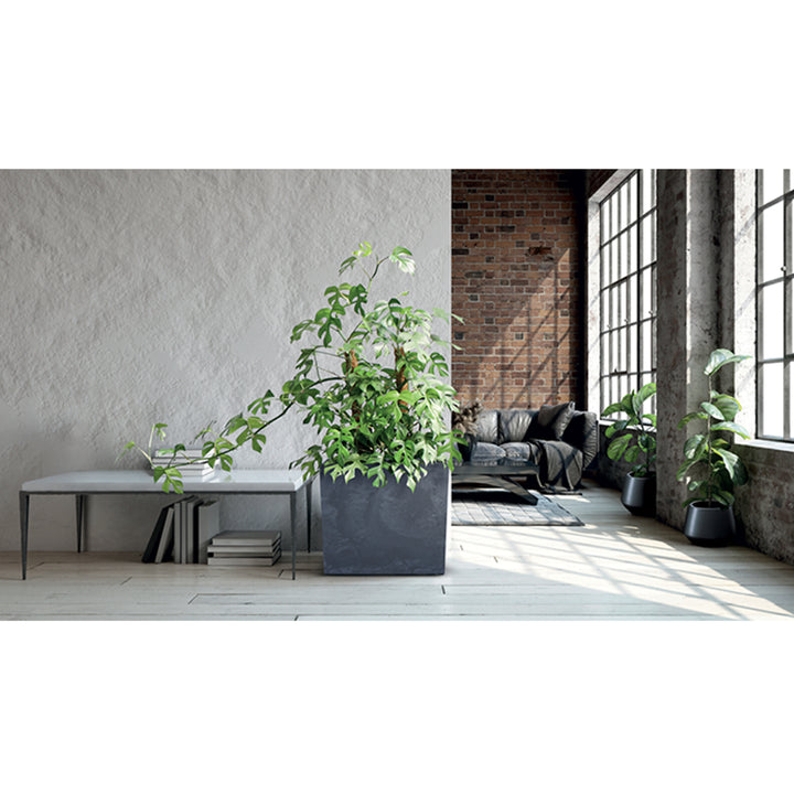 Plantenbak met binnenpot Prosperplast Urbi Case Beton Effect Toren Bloembak voor binnen en buiten Rechthoekig kunststof (77x23,5x68,7cm, Antraciet)