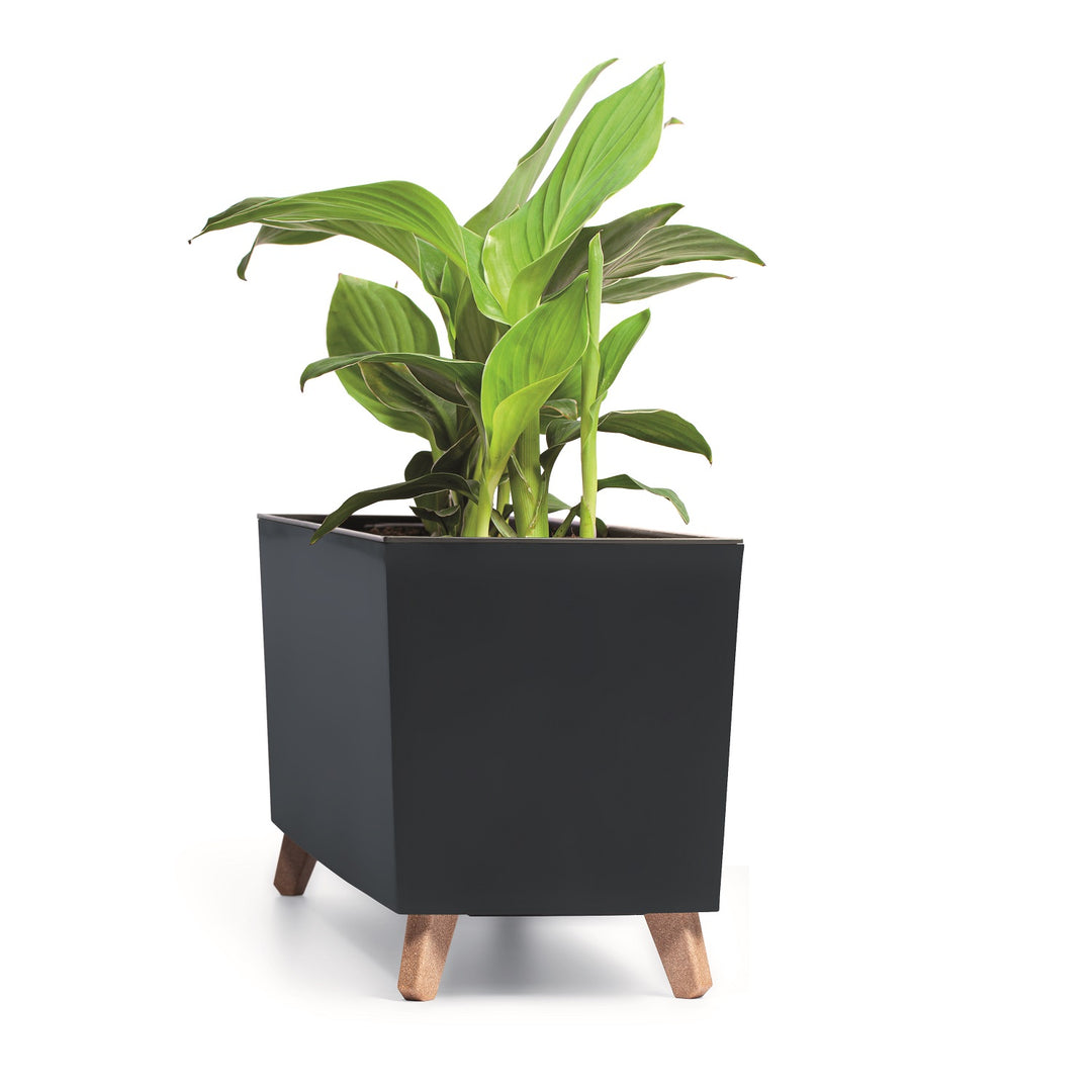 Prosperplast pot de fleurs URBI CASE DUC800N - anthracite