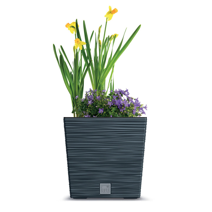 Prosperplast Furu Square Low pot de fleurs avec insert DFS300-S433 - couleur anthracite