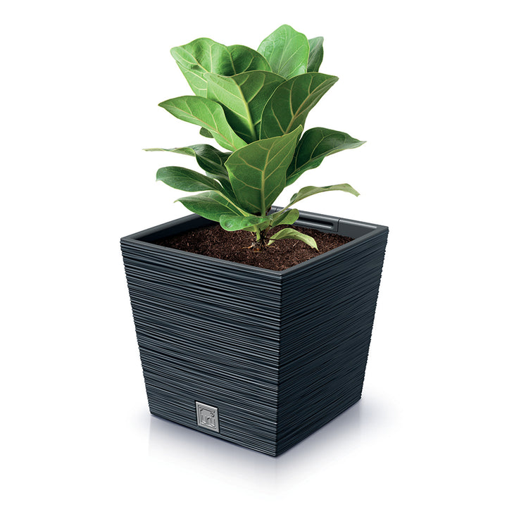 Prosperplast Furu Square Low pot de fleurs avec insert DFS300-S433 - couleur anthracite