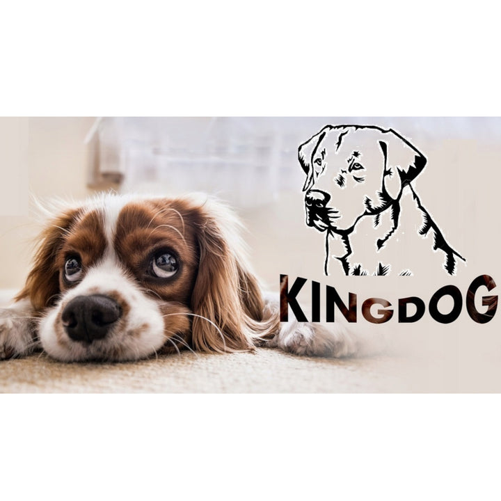 Lit pour chat et chien 130x105 cm KingDog KIN130/105NIE bleu/noir