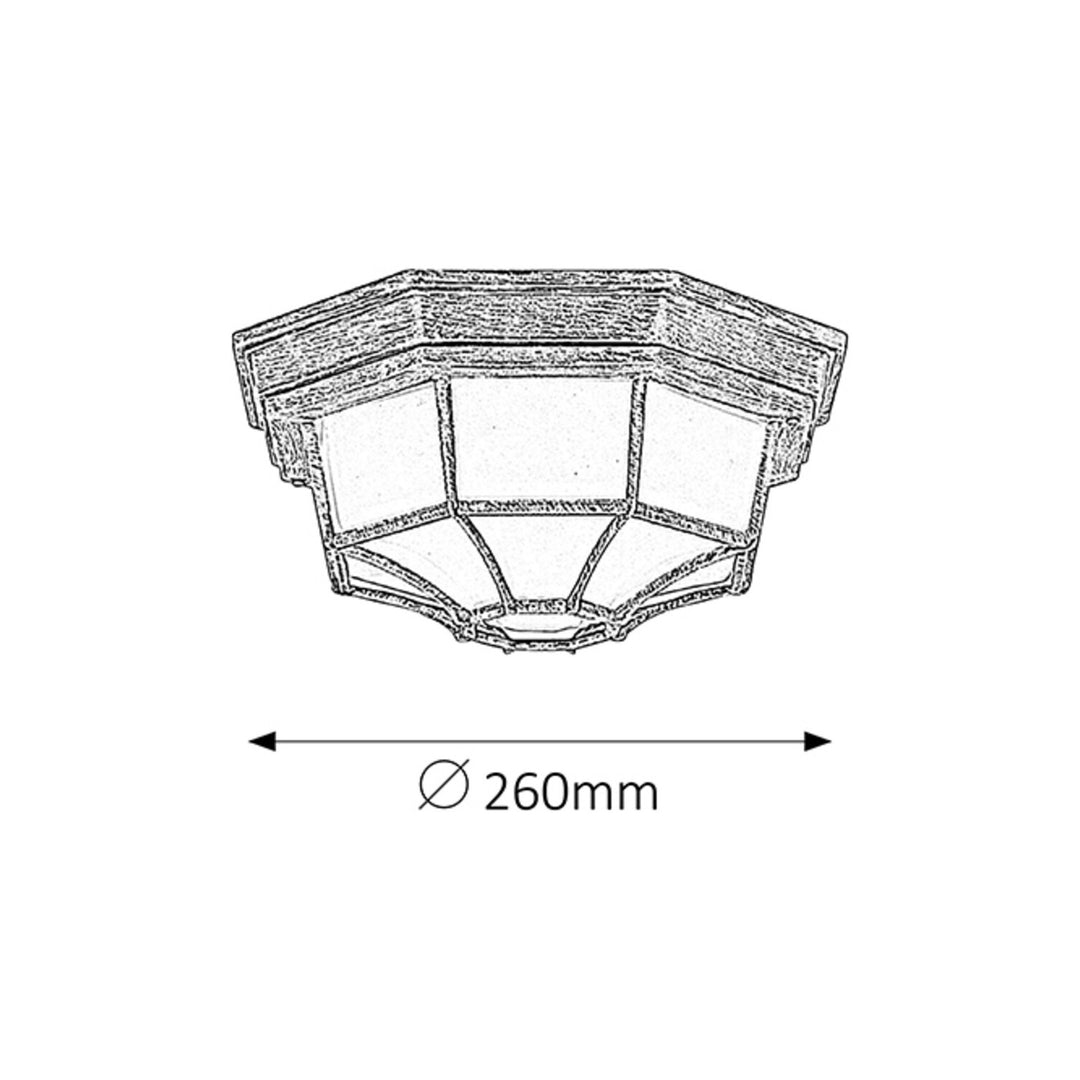 Rabalux milano buitenplafondlamp 8376 metaal en glazen lampenkap
