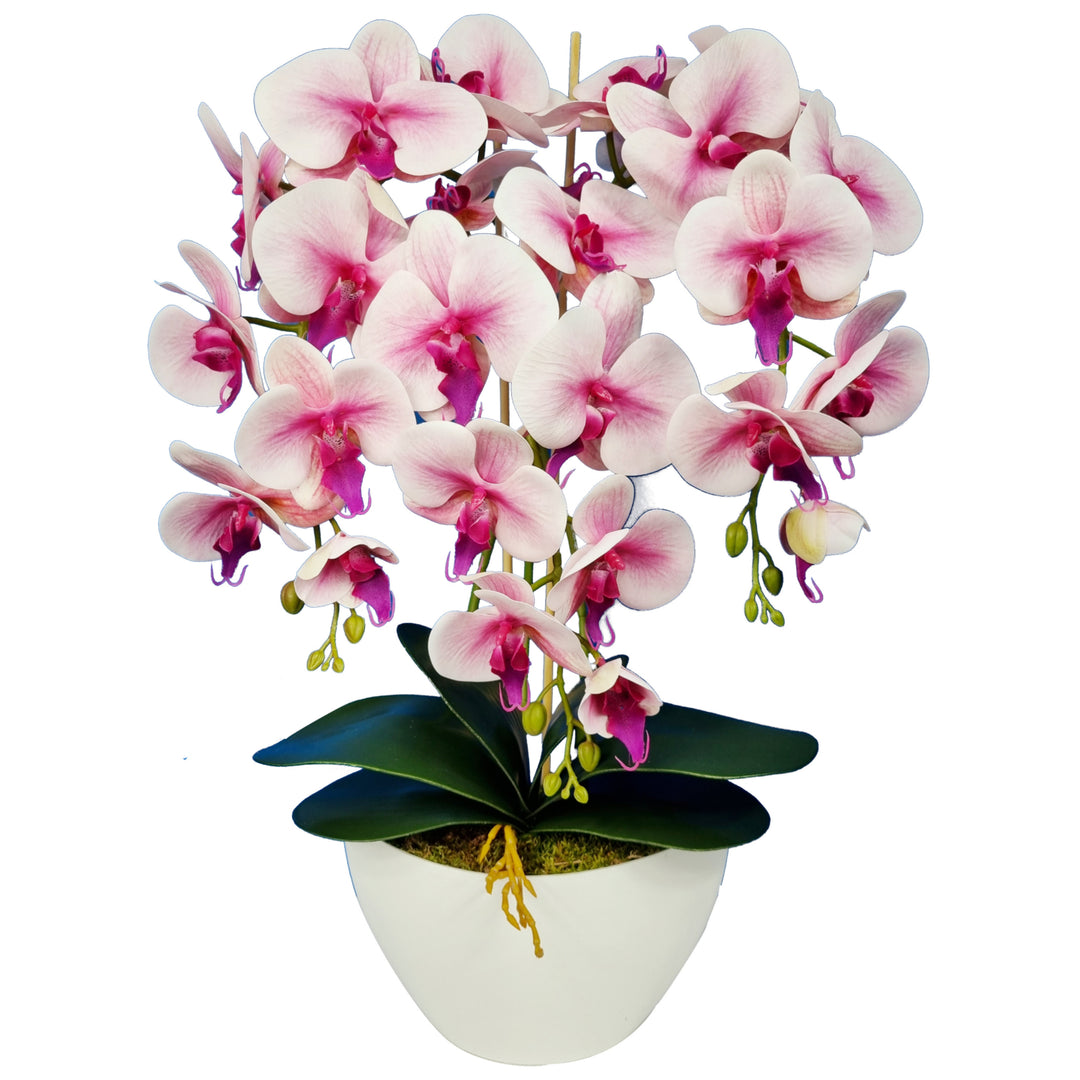 Orchidée fleurs artificielles Orchidée rose comme vivante 3pgrj