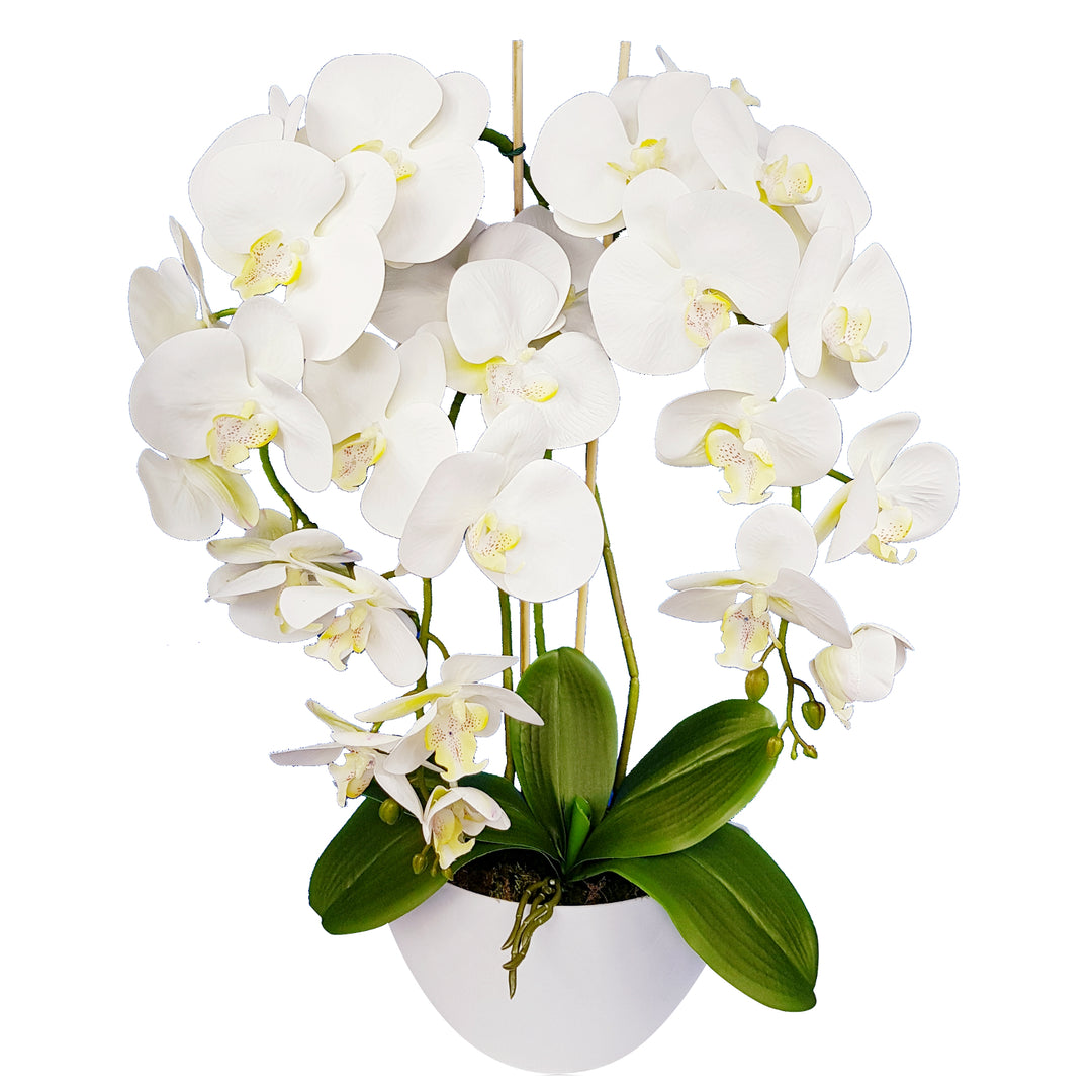 Orchidée fleurs artificielles Orchidée blanche en caoutchouc vivant 3pgb