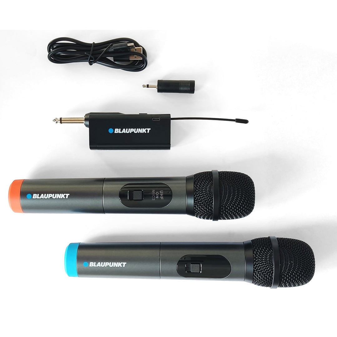 Blaupunkt WM60UDB Jeu de deux microphones sans fil