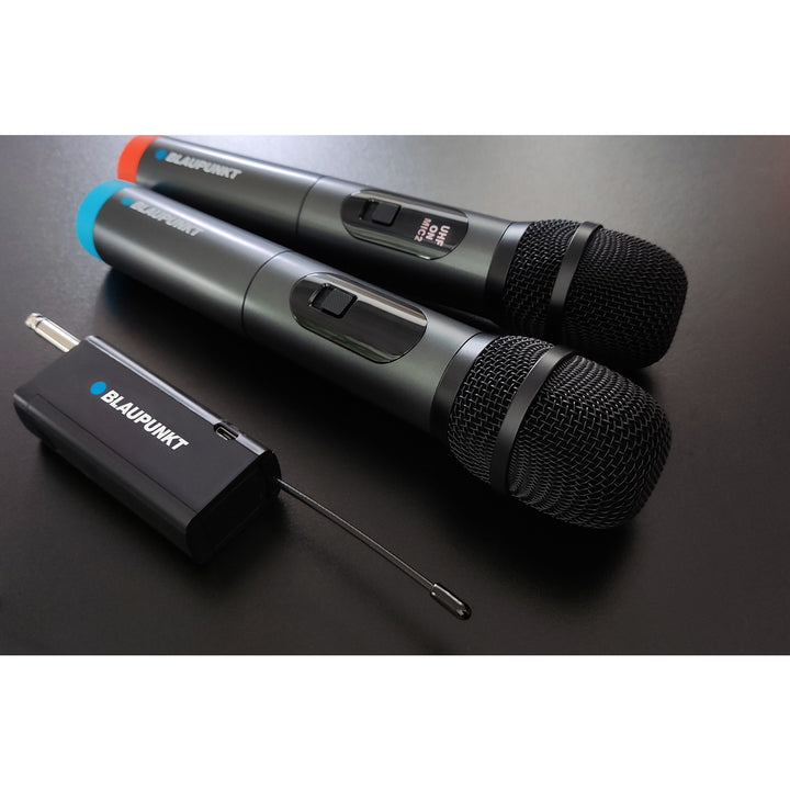 Blaupunkt WM60UDB Jeu de deux microphones sans fil