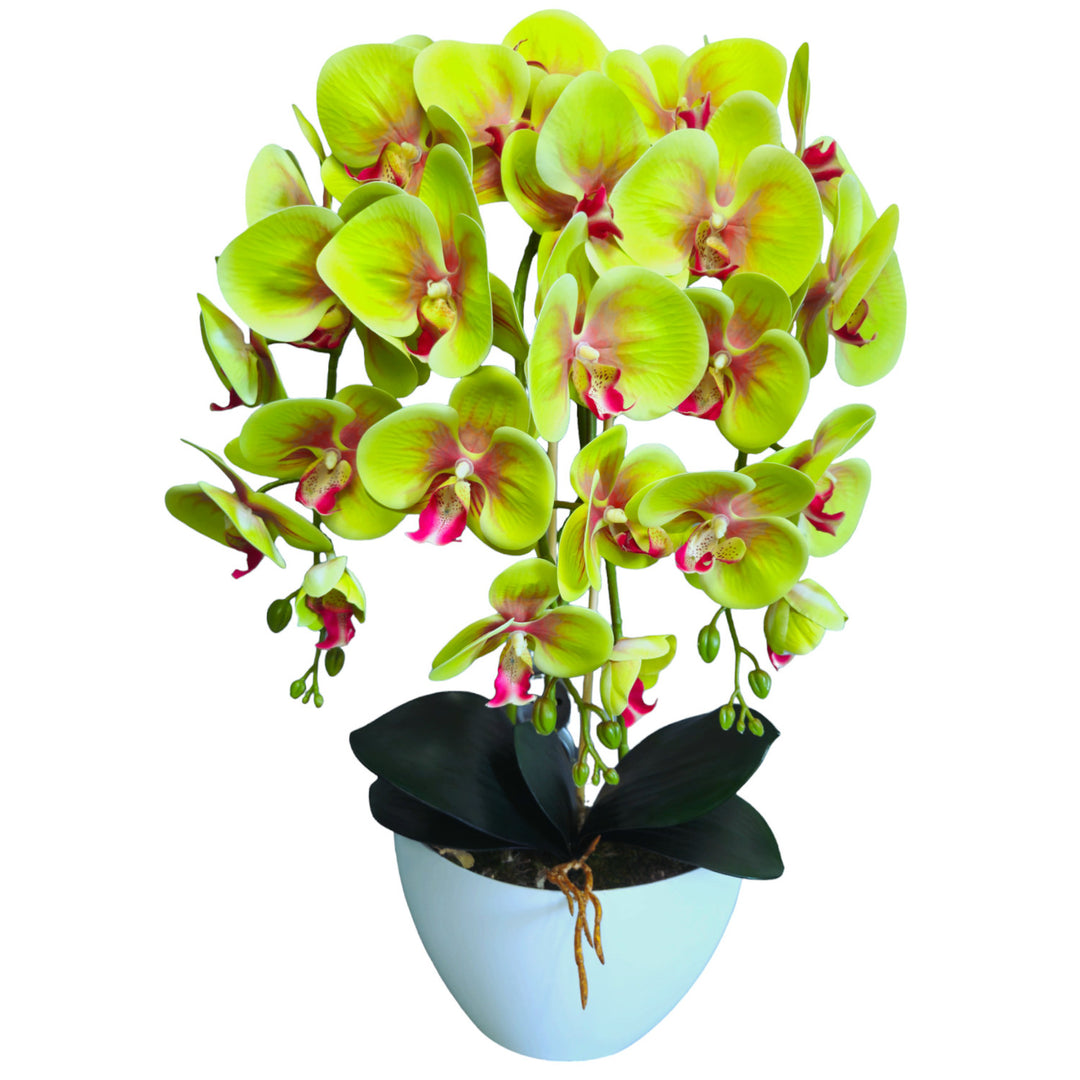 Orchidée artificielle Damich, verte, en caoutchouc, 3pgz