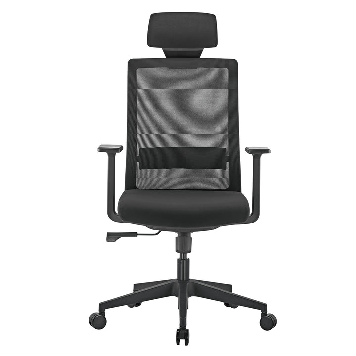 Siège de bureau ergonomique haut de gamme avec dossier haut Ergo Office, max 150kg, ER-425