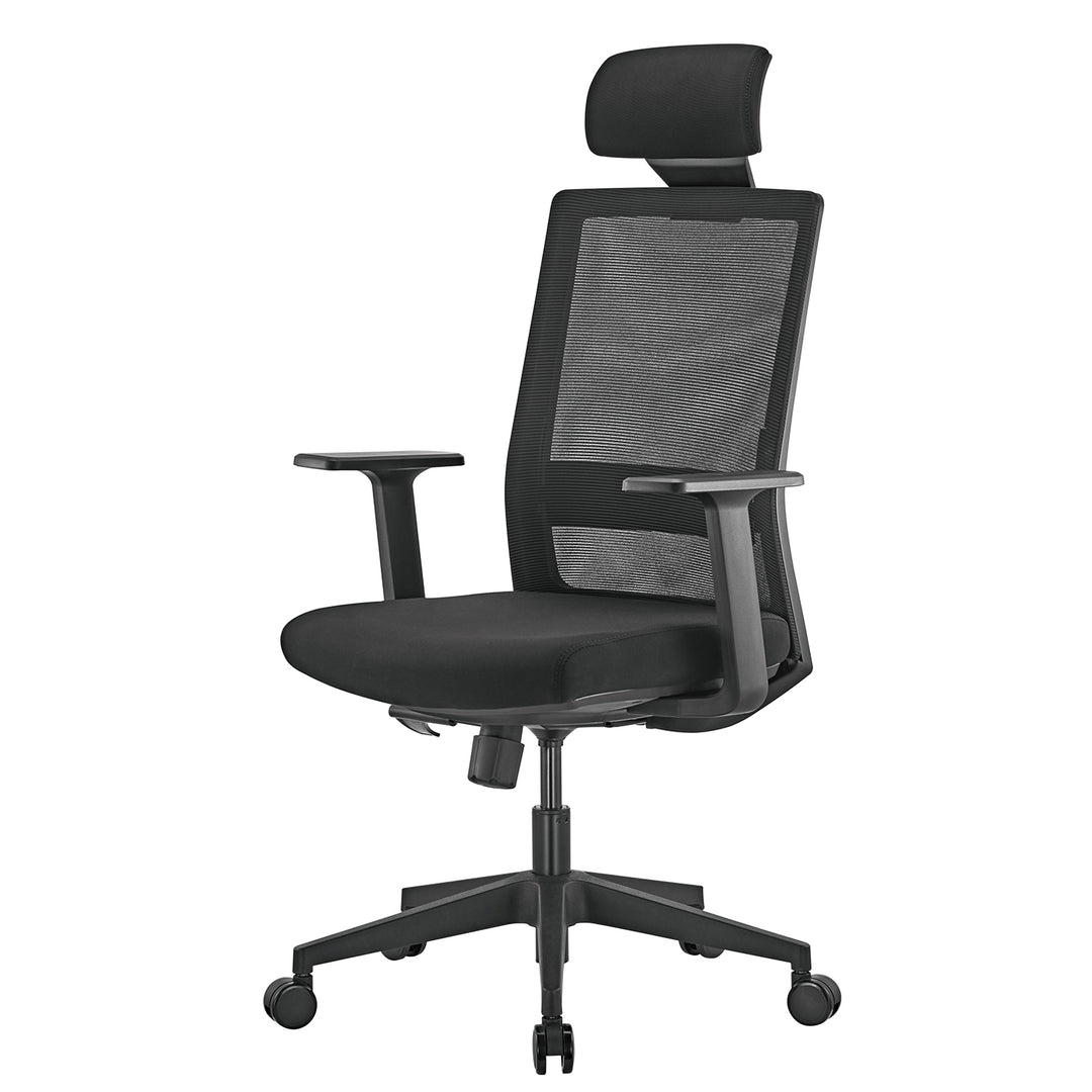 Hoogwaardige ergonomische bureaustoel met hoge rugleuning Ergo Office, max 150kg, ER-425