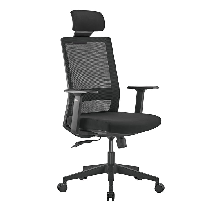 Hoogwaardige ergonomische bureaustoel met hoge rugleuning Ergo Office, max 150kg, ER-425