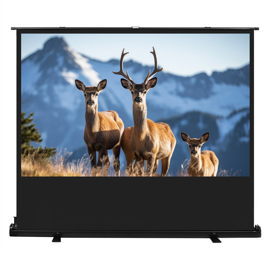 Maclean MC-213 Compact draagbaar vloerprojectorscherm 100" 16:10
