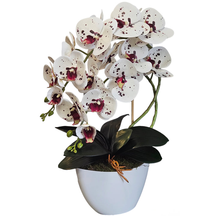 Damich kunstorchidee, bloemen, rubber, 2pgk