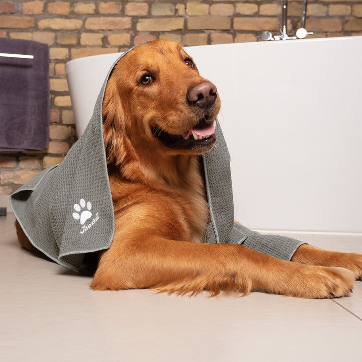 Vileda handdoek, microvezel, maat XL, Pet Pro