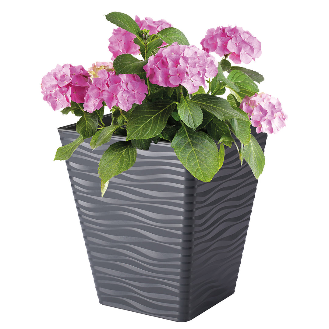 Sahara Dunes 35 cm pot carré en plastique anthracite