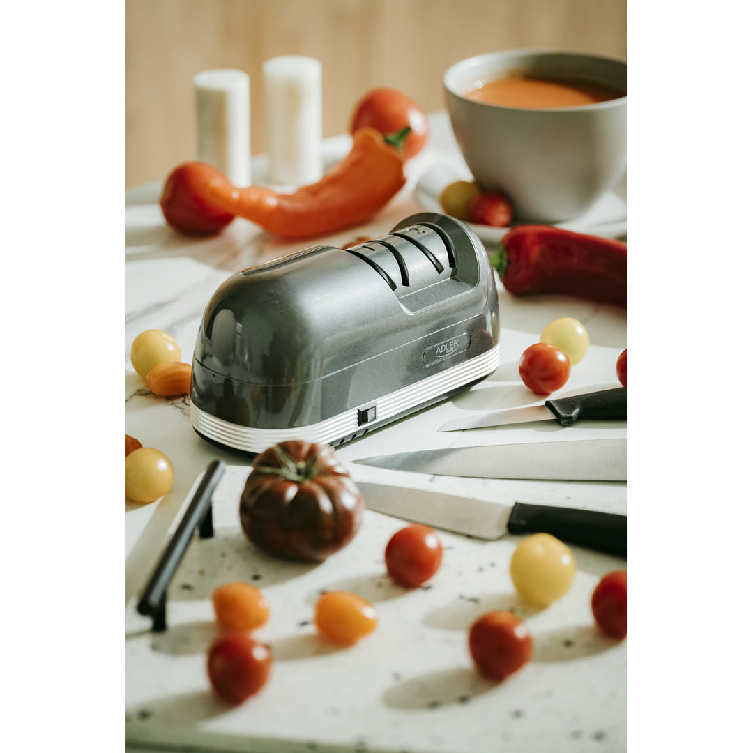 Aiguiseur électrique Adler, puissance 60 W, système à 2 niveaux AD 4508