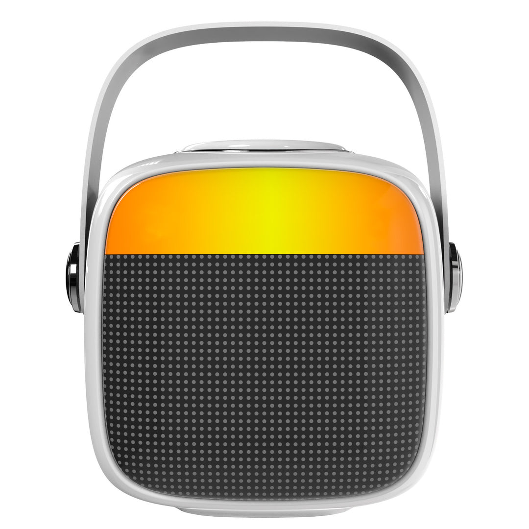Enceinte sans fil Adler, avec microphone, pour karaoké, Bluetooth, AD 1199 W