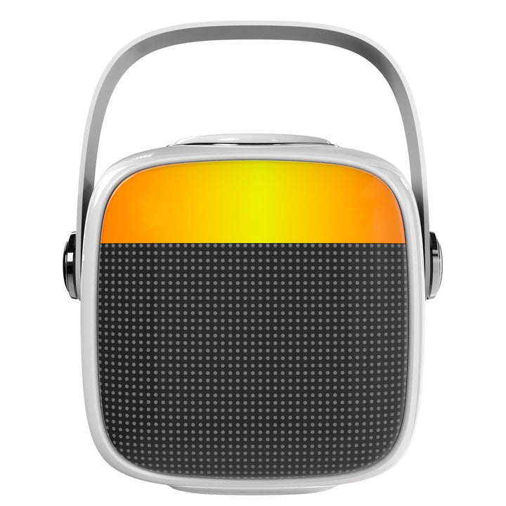 Enceinte sans fil Adler, avec microphone, pour karaoké, Bluetooth, AD 1199 W