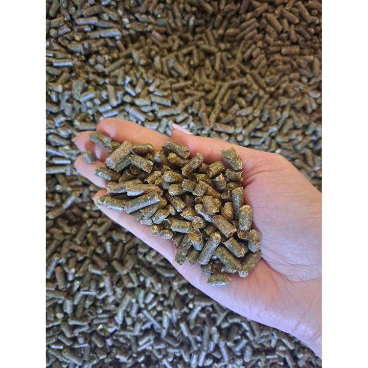 Boules d'herbe, nourriture pour chevaux, à base d'herbe du pays des lacs, sac de 15kg