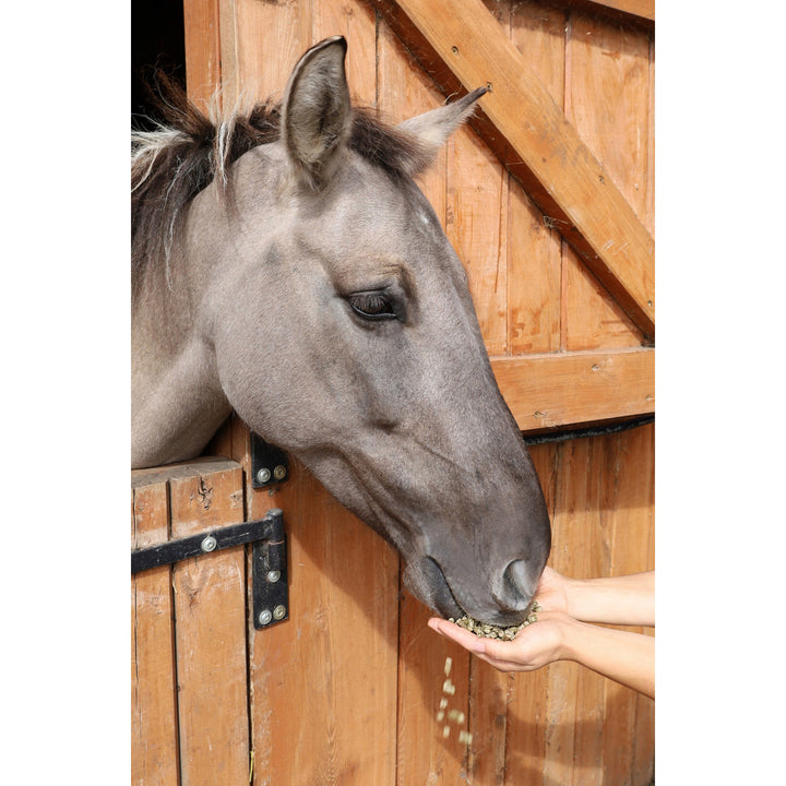 Boules d'herbe, nourriture pour chevaux, à base d'herbe du pays des lacs, sac de 15kg