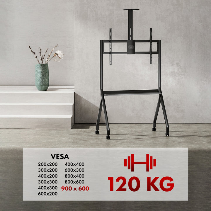 Maclean Support TV / chariot, tablette pour caméra, sur roulettes, 55-100", charge max. 120kg/10kg tablette, max. VESA 900x600, noir, MC-114 B