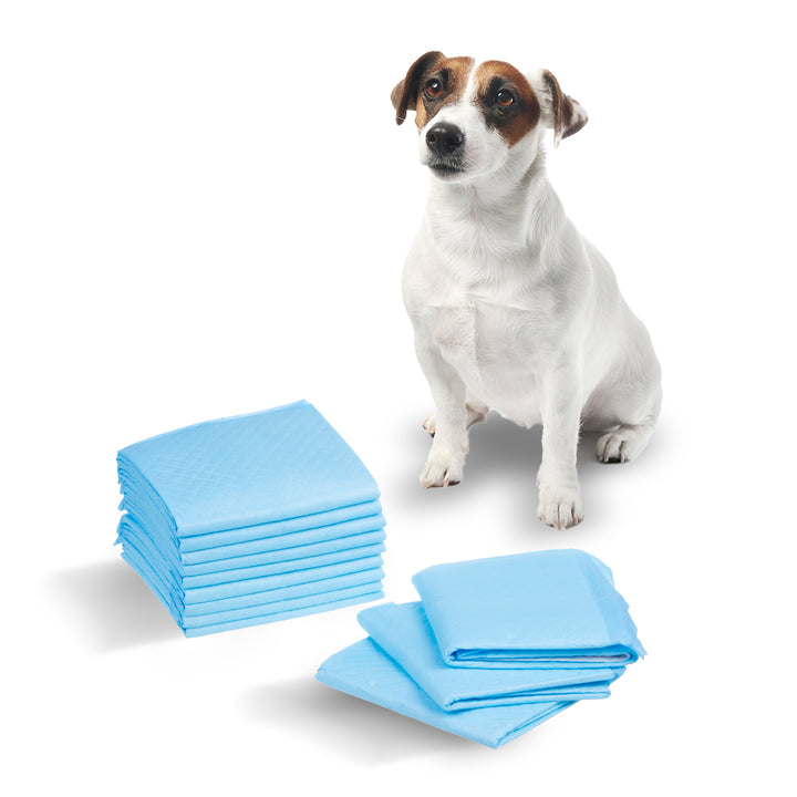 GreenBlue distributeur automatique d'eau / abreuvoir pour animaux, 3L, USB 5V1A, GB392 + GreenBlue coussinets/matelas d'hygiène pour chien/chat, pour l'apprentissage des pipis, 60x40cm, 50pcs, GB495