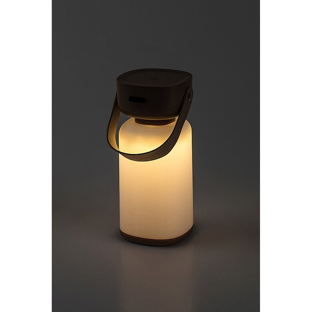 Lampe décorative Rabalux, extérieur, IP44, 3W, marron, Funes