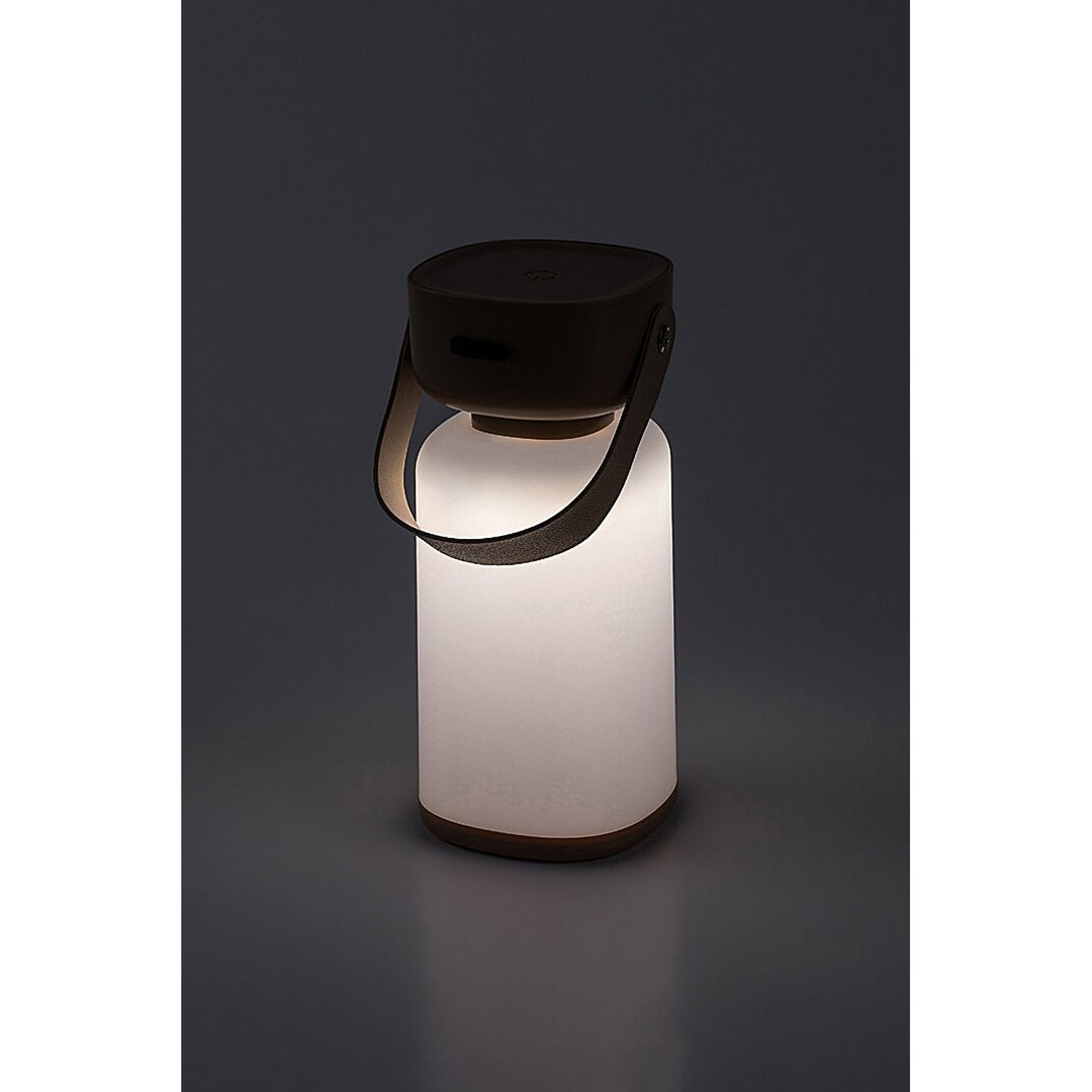 Lampe décorative Rabalux, extérieur, IP44, 3W, marron, Funes