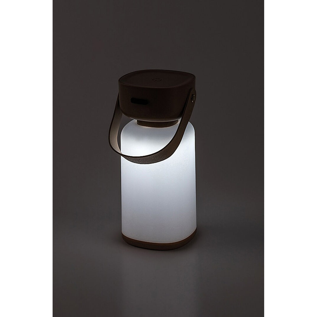Lampe décorative Rabalux, extérieur, IP44, 3W, marron, Funes
