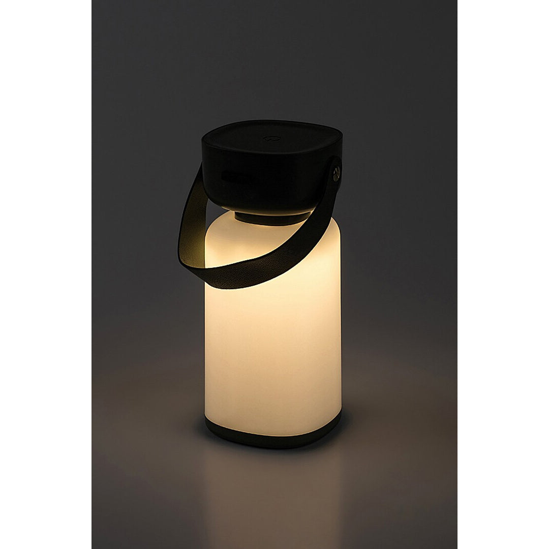 Lampe décorative Rabalux, extérieur, IP44, 3W, vert, Funes