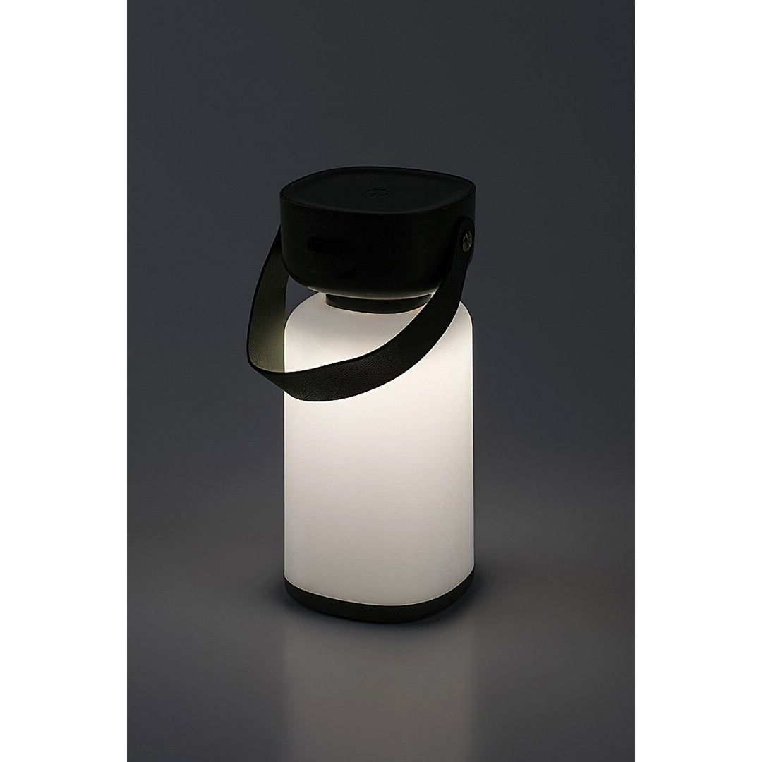 Lampe décorative Rabalux, extérieur, IP44, 3W, vert, Funes