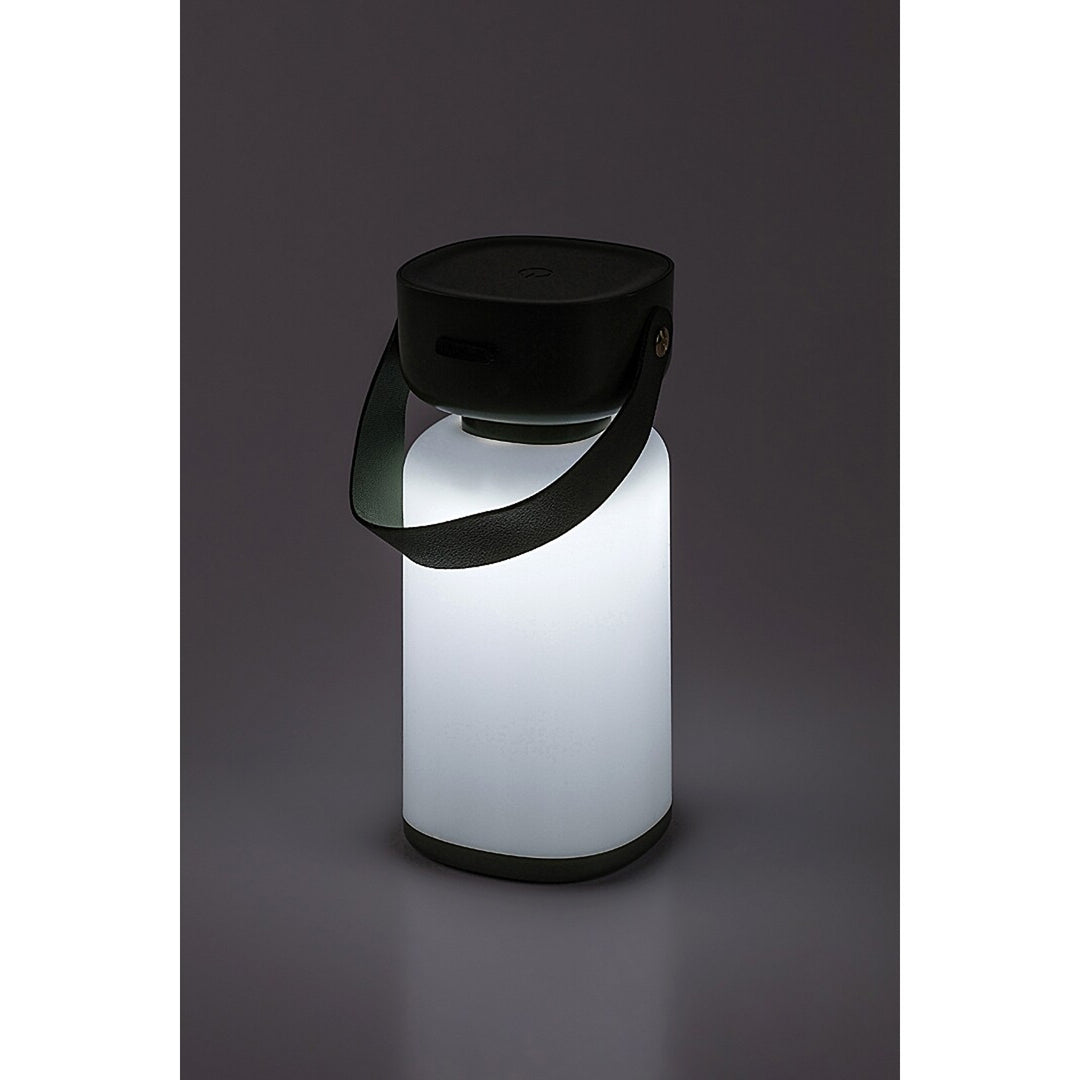 Lampe décorative Rabalux, extérieur, IP44, 3W, vert, Funes